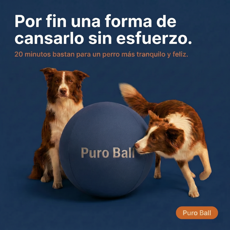 Puro Ball - Balón Interactivo Ultra-Resistente