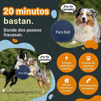 Puro Ball - Balón Interactivo Ultra-Resistente