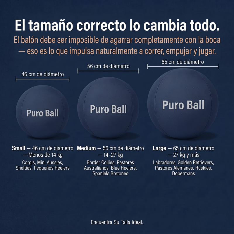 Puro Ball - Balón Interactivo Ultra-Resistente